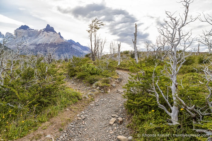 Cuernos del Paine and the trail to the French Valley.
