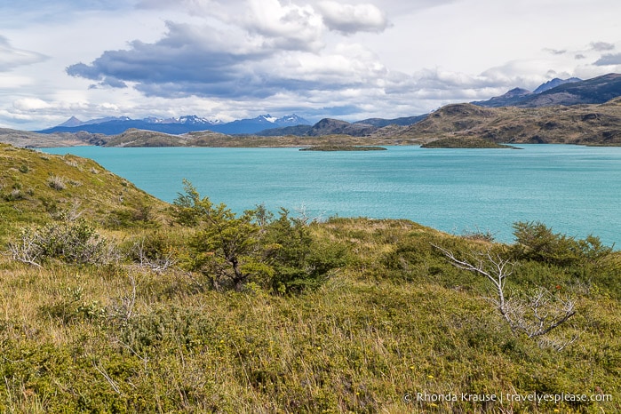 Turquoise coloured Lago Pehoe.