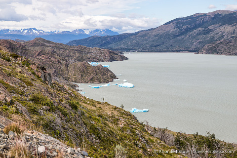 Small icebergs in Lago Grey.