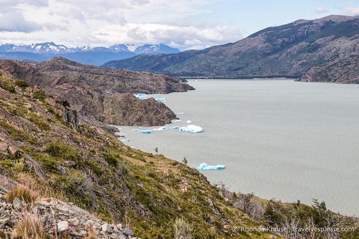 Small icebergs in Lago Grey.