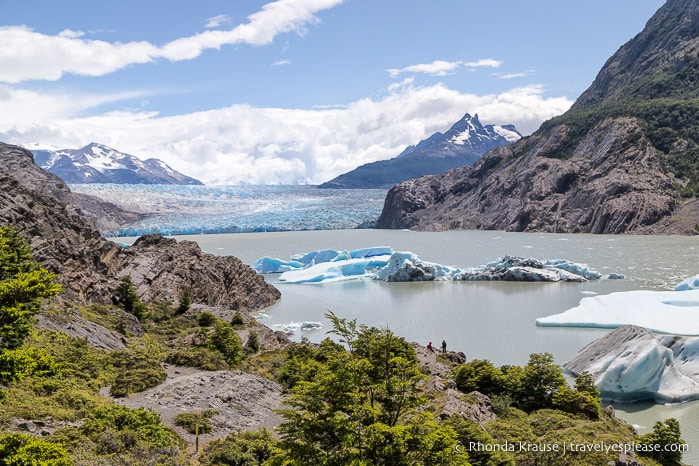 Grey Glacier with icebergs floating in front of it.