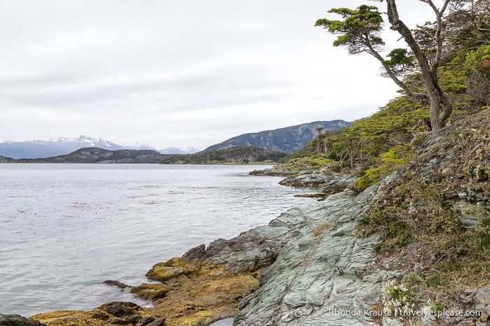 Rocky coastline.