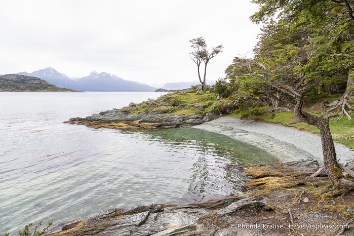 Beach, bay, and mountain view seen while hiking the Coastal Trail in Tierra del Fuego National Park.