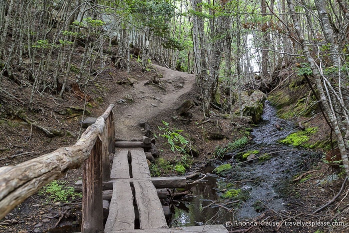 Small wooden bridge on the hiking trail.