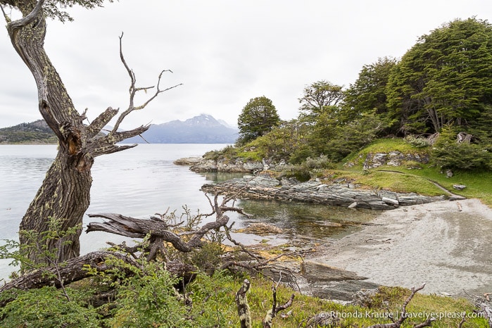 Hiking in Tierra del Fuego National Park- The Coastal Trail (Senda Costera).