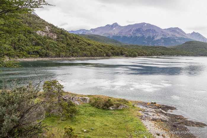 View of Lapataia Bay seen while hiking the Coastal Trail in Tierra del Fuego National Park.