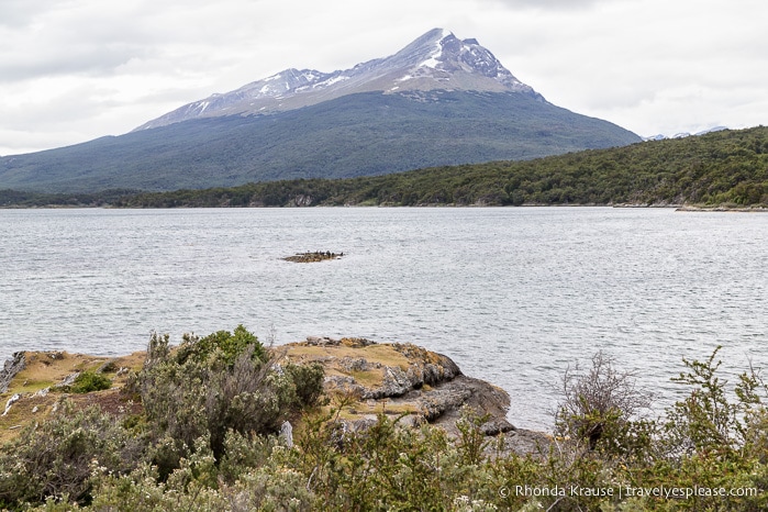 Birds on a small, distant island backed by a mountain.