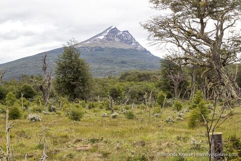 Mountain overlooking a forest and meadow.