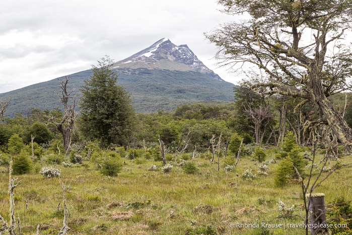 Mountain overlooking a forest and meadow.