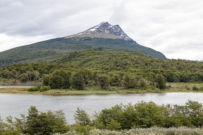 Mountain overlooking Lapataia River.