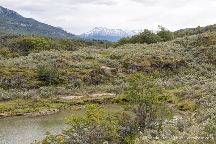 Shrub covered hills backed by mountains.