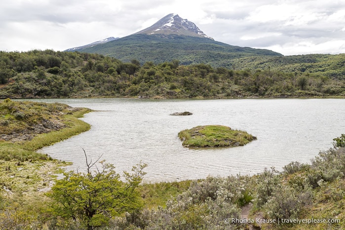 Tierra del Fuego National Park in Argentina.