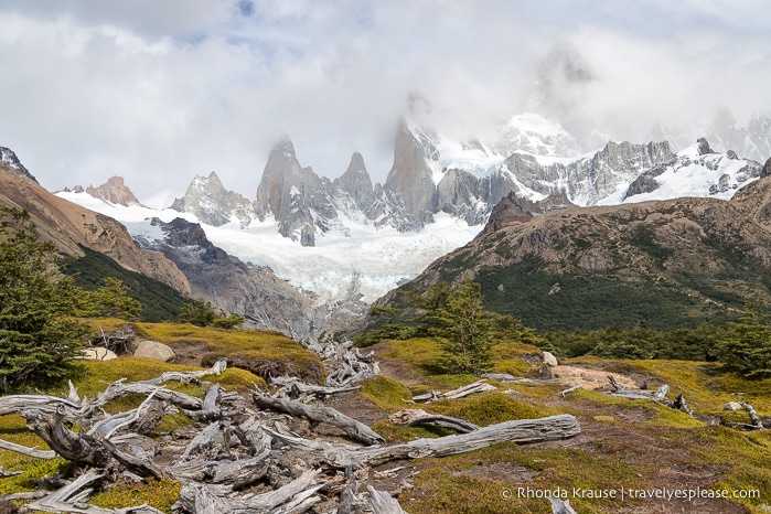 A row of logs leading towards a glacier on Mount Fitz Roy.