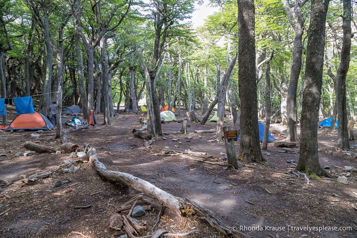 Tents at Poincenot campground.