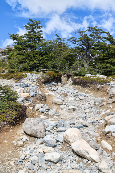 Rock covered trail.