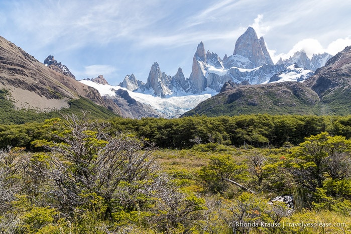 Mt. Fitz Roy overlooking some trees and bushes.