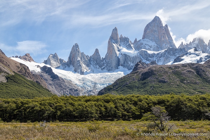Glacier covered Mount Fitz Roy overlooking a row of trees.
