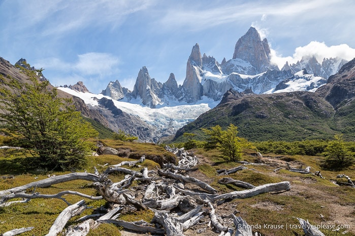 A row of logs leading towards a glacier covered Mount Fitz Roy.