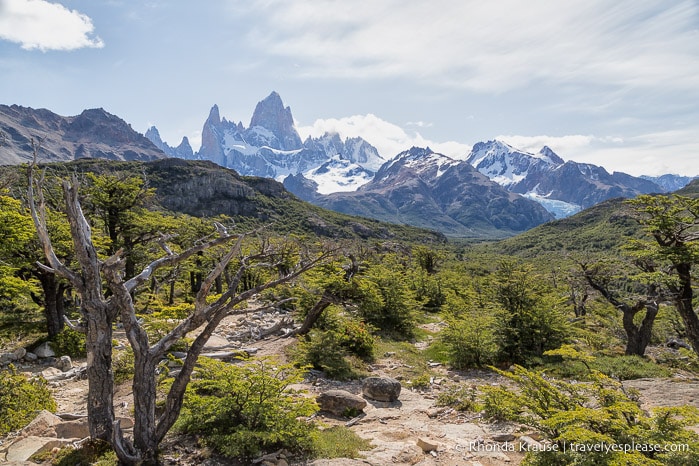 Mt. Fitz Roy in the distance.