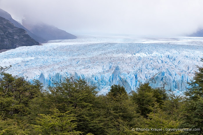View of Perito Moreno Glacier over the tree tops.