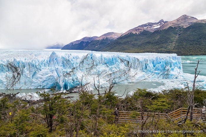 Walkway and trees in front of the glacier.