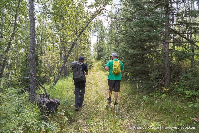 Medicine walk in the forest.