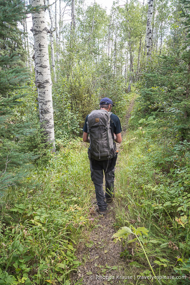 Guided trail walk in the forest.