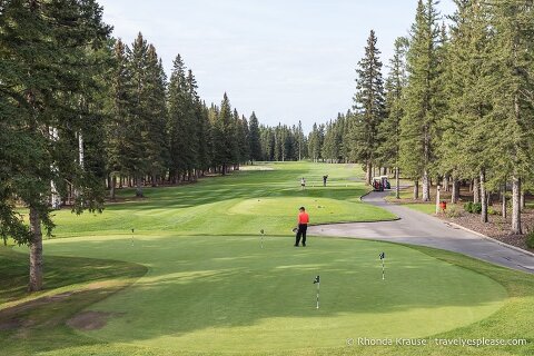 Fairway and practice green at the Sundre Golf Club.
