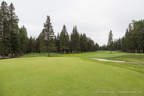 Course at the Sundre Golf Club.