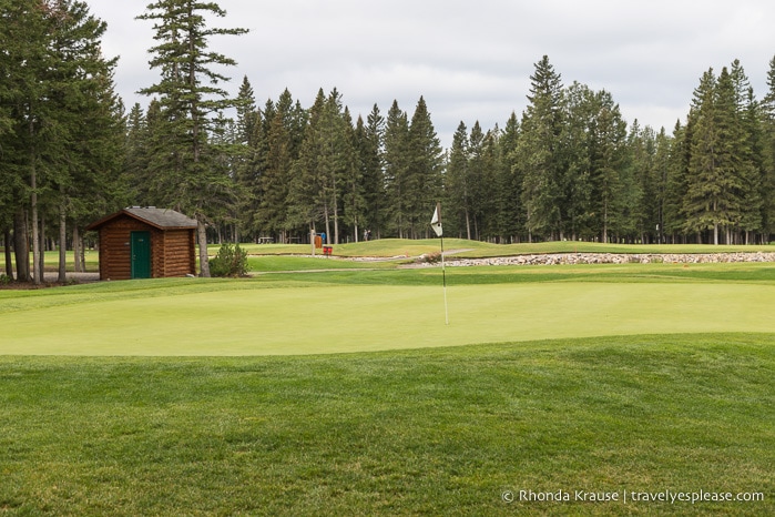 Course at the Sundre Golf Club.