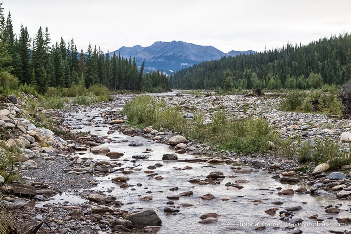 Panther River.