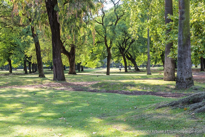 Green space in Plaza Sicilia.