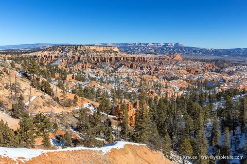 Hoodoos and trees in Bryce Amphitheatre.