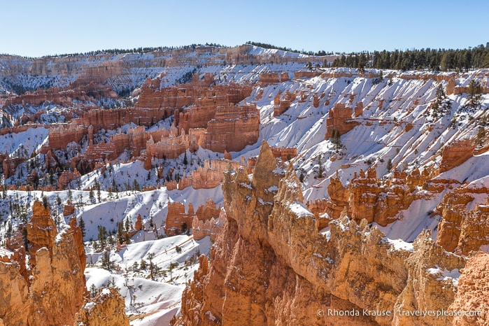 Queen's Castle hoodoos.