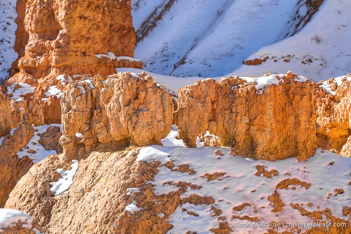 Rocks that look like elephants in Bryce Canyon.