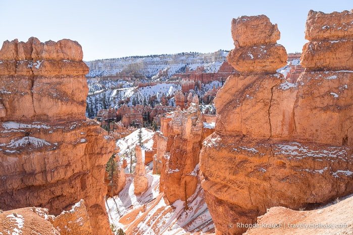 Hoodoos beside Queen's Garden Trail.