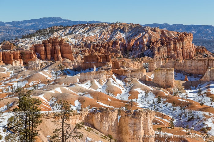 Hoodoos in Bryce Canyon.