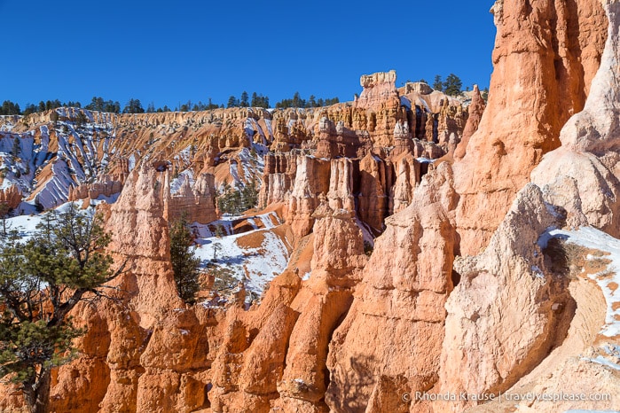 Hoodoos seen while hiking Queen's Garden Trail.