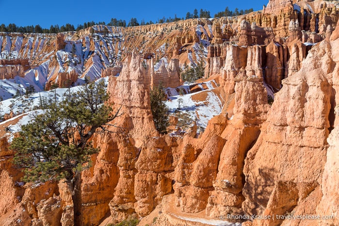 Hoodoos along Queen's Garden Trail.