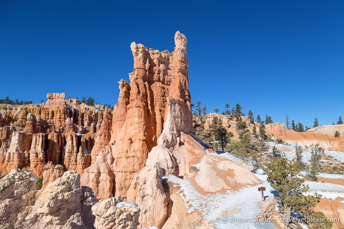 Hoodoos overlooking Queen's Garden Trail.