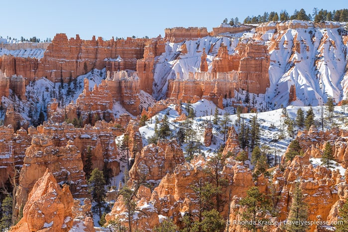 Hoodoos in Bryce Amphitheatre.