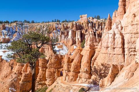 Hiking Queen's Garden Navajo Loop Trail- Bryce Canyon National Park.