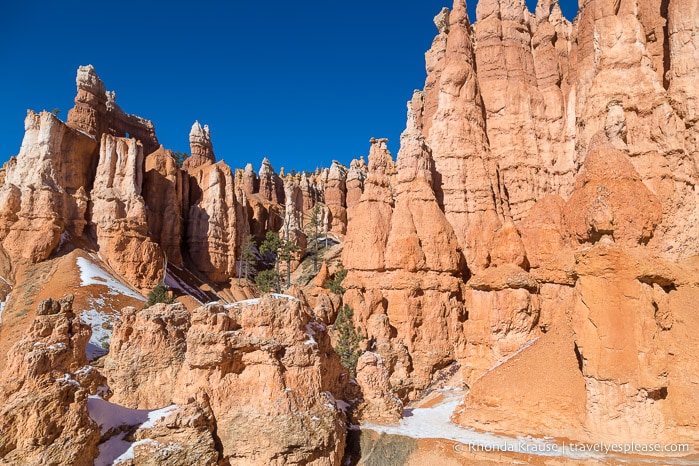 Wall of hoodoos beside Queen's Garden Trail.