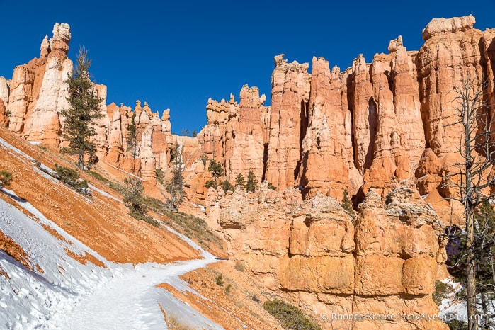 Hiking Queen’s Garden Navajo Loop Trail- Bryce Canyon National Park, Utah