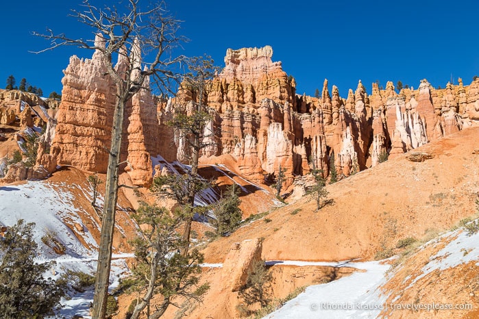 Hoodoos beside Queen's Garden Trail.