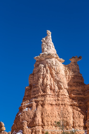 Queen Victoria hoodoo in Bryce Canyon.
