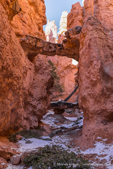 Two Bridges rock formation on Navajo Loop Trail.