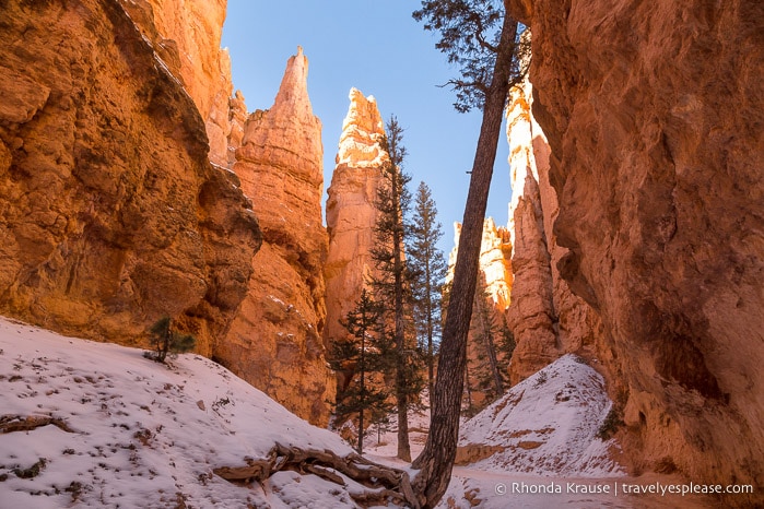 Rock walls and hoodoos framing Navajo Loop Trail.