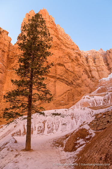 Rock wall framing the switchback section of Navajo Loop.