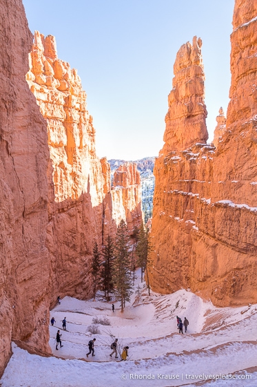 Rock walls framing the switchbacks of Navajo Loop Trail.